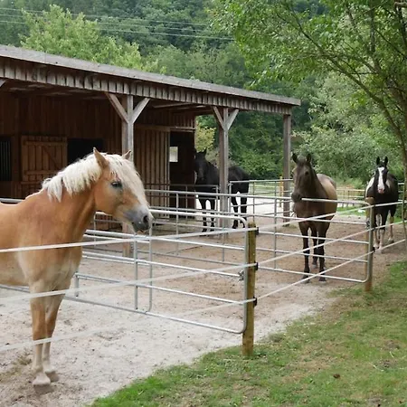 Entspannung & Ruhe Ferienwohnung, Fewo, Kurzurlaub Apartamento Gondenbrett