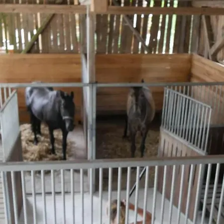 דירה Ride & Relax Ferienwohnung, Fewo, Kurzurlaub