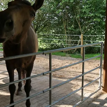 Entspannung & Ruhe Ferienwohnung, Fewo, Kurzurlaub