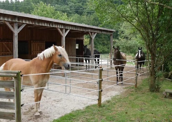Entspannung & Ruhe Ferienwohnung, Fewo, Kurzurlaub Apartamento Gondenbrett