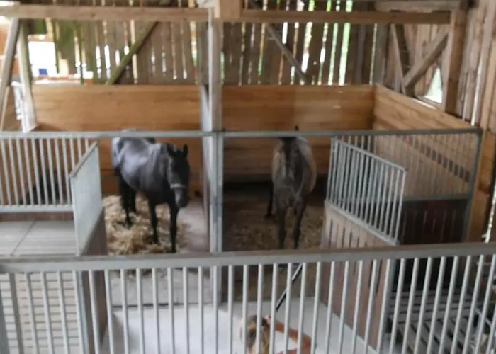 Apartment Weihnachtsauszeit, Ferienwohnung, Fewo, Kurzurlaub