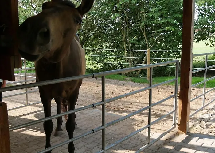 Entspannung & Ruhe Ferienwohnung, Fewo, Kurzurlaub